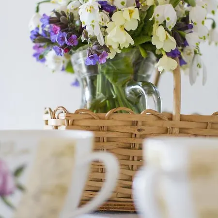 Tatil Evi Casa Ursic Scrittore Grimacco